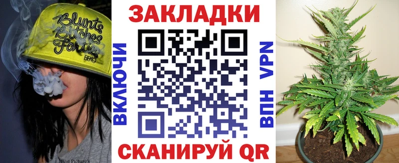 Галлюциногенные грибы Дигора