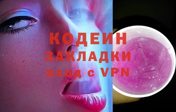 сатива Бородино