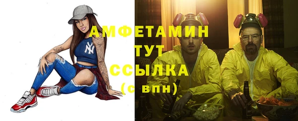 сатива Бородино