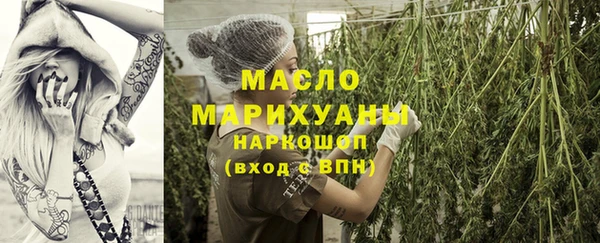 сатива Бородино