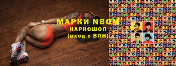 сатива Бородино