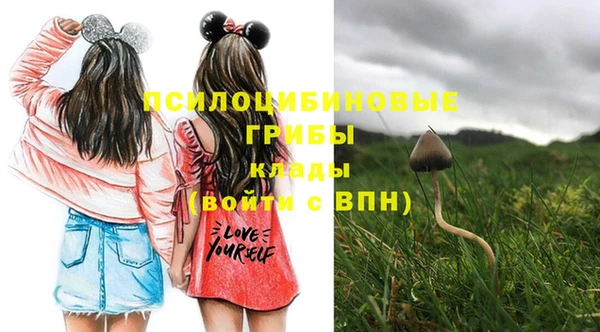 эйфоретик Снежногорск