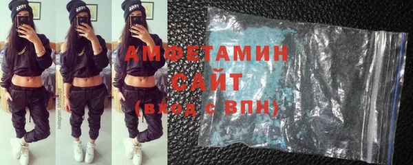 сатива Бородино