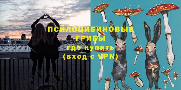 соль ск Бугульма