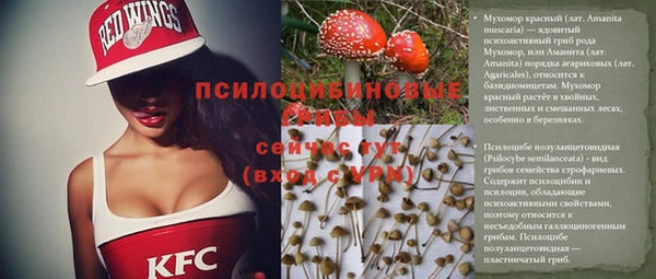 соль ск Бугульма