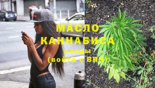 сатива Бородино
