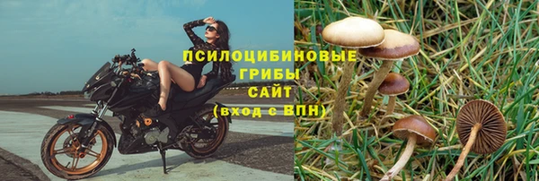 соль ск Бугульма