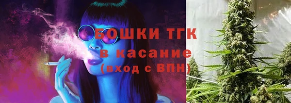 сатива Бородино