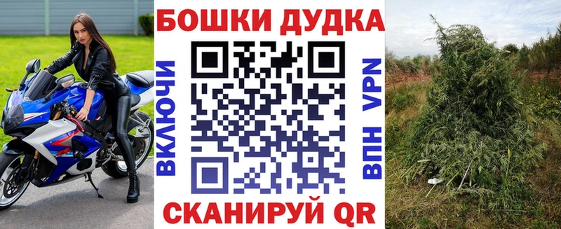 blacksprut как войти  где продают наркотики  Дигора  Марихуана семена 